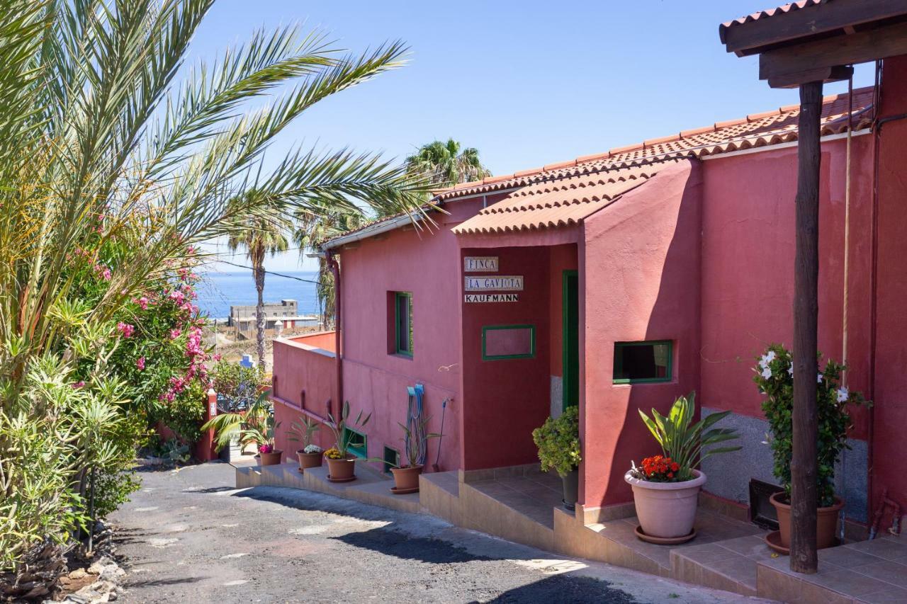 Finca La Gaviota - El Rincon Icod De Los Vinos Εξωτερικό φωτογραφία